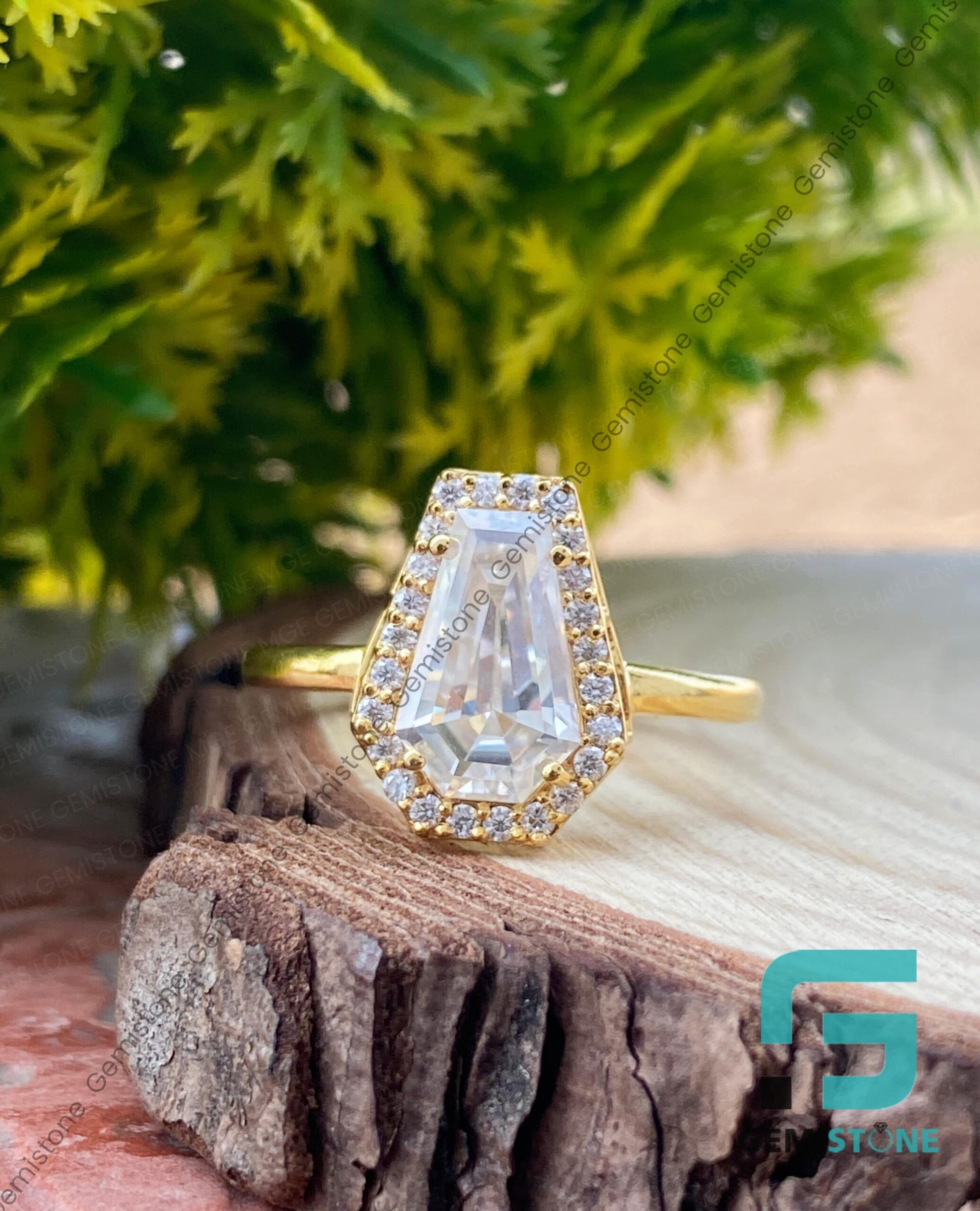 Coffin-Cut-Halo-Ring